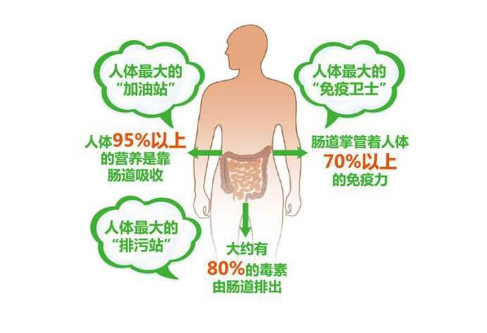 腸道失衡對人體的健康影響不容小覷！(圖3)